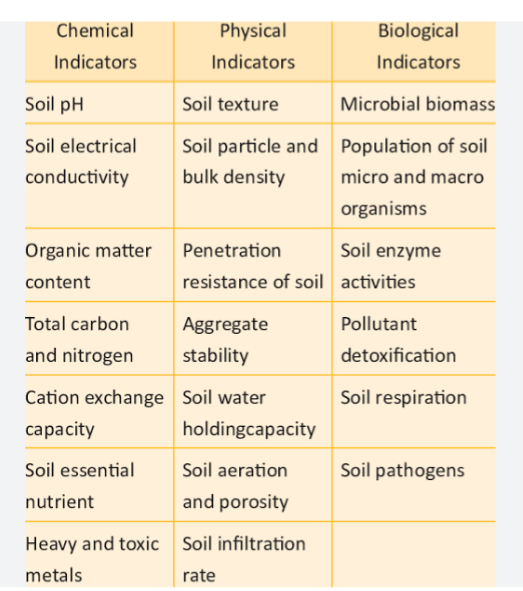 SOIL HEALTH - Supreme Light